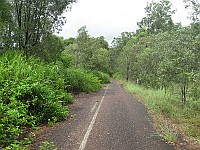 QLD - Bauple (south of) - Old Highway Rd (old H1) abandoned section - road narrows (11 Mar 2010)